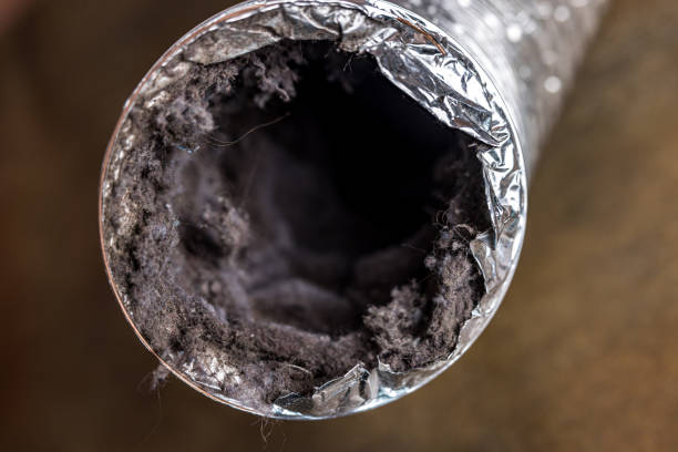 Best HVAC Maintenance and Cleaning  in Willoughby Hills, OH